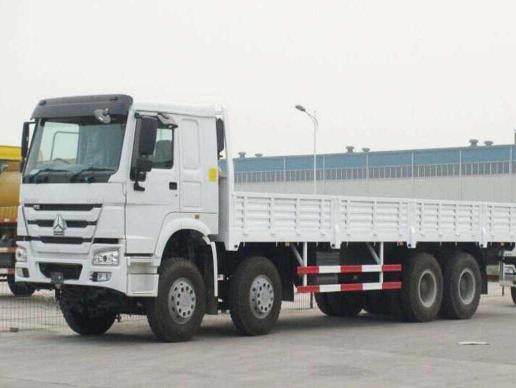 Howo 8x4 Cargo Truck